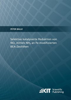 Selektive katalysierte Reduktion von NOx mittels NH3 an Fe-modifizierten BEA-Zeolithen - Balle, Peter