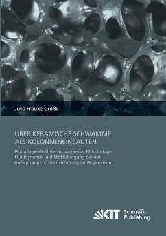 Über keramische Schwämme als Kolonneneinbauten : Grundlegende Untersuchungen zu Morphologie, Fluiddynamik und Stoffübergang bei der mehrphasigen Durchströmung im Gegenstrom - Große, Julia