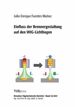 Einfluss der Brennergestaltung auf den WIG-Lichtbogen - Fuentes Muñoz, Julio Enrique