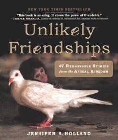 Unlikely Friendships - Holland, Jennifer S