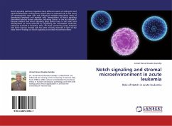 Notch signaling and stromal microenvironment in acute leukemia