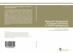 Molecular Background of Oxygen Sensitivity in [FeFe] hydrogenases - Stripp, Sven T.