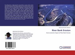 River Bank Erosion