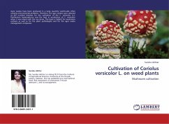 Cultivation of Coriolus versicolor L. on weed plants