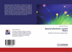 Special photonic crystal fibers - Minkovich, Uladzimir
