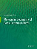 Molecular Geometry of Body Pattern in Birds