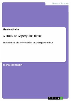 A study on Aspergillus flavus - Nathalie, Lisa