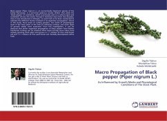 Macro Propagation of Black pepper (Piper nigrum L.)