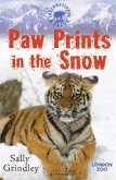Paw Prints in the Snow