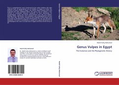 Genus Vulpes in Egypt