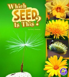 Which Seed Is This? - Amstutz, Lisa J.