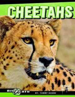 Cheetahs - Gagne, Tammy