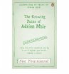 The Growing Pains of Adrian Mole - Bild 1