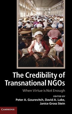 The Credibility of Transnational NGOs