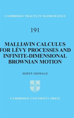 Malliavin Calculus for Lévy Processes and Infinite-Dimensional Brownian Motion - Osswald, Horst