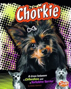 Chorkie: A Cross Between a Chihuahua and a Yorkshire Terrier - Hammer, Sheila