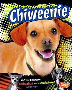 Chiweenie: A Cross Between a Chihuahua and a Dachshund - Kolpin, Molly