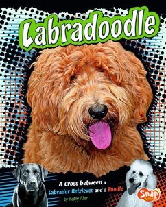 Labradoodle: A Cross Between a Labrador Retriever and a Poodle - Allen, Kathy