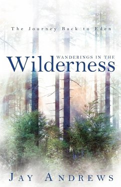 Wanderings in the Wilderness - Andrews, Jay
