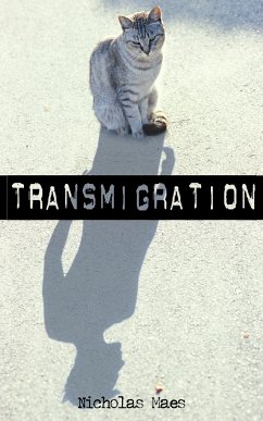 Transmigration - Maes, Nicholas