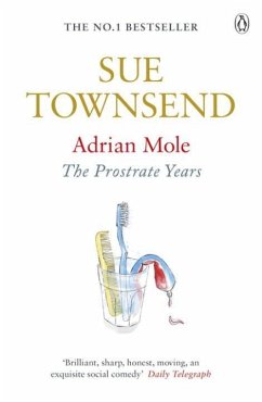 Adrian Mole: The Prostrate Years - Townsend, Sue
