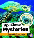 Up-Close Mysteries: Zoomed-In Photo Puzzles