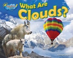 What Are Clouds? - Lawrence, Ellen