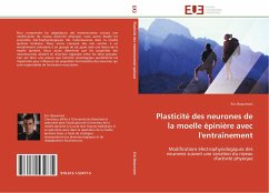 Plasticité des neurones de la moelle épinière avec l'entraînement - Beaumont, Eric