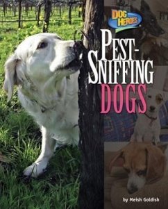 Pest-Sniffing Dogs - Goldish, Meish