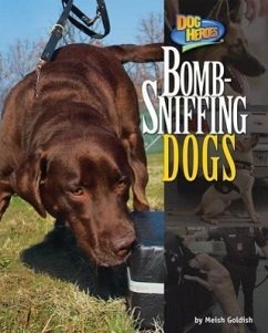 Bomb-Sniffing Dogs - Goldish, Meish