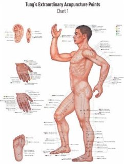 Cover Akupunkturtafel Chart 1 Tung's Extraordinary Acupuncture Points on the regular channels