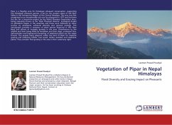 Vegetation of Pipar in Nepal Himalayas