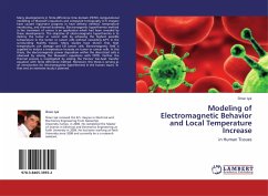 Modeling of Electromagnetic Behavior and Local Temperature Increase