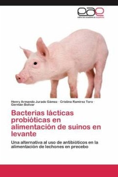 Bacterias lácticas probióticas en alimentación de suinos en levante