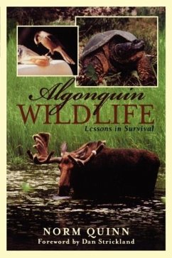 Algonquin Wildlife - Quinn, Norm
