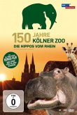 150 Jahre Kölner Zoo - Die Hippos vom Rhein