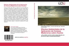 Efectos Ambientales de la Aplicación de Cenizas Madereras sobre Suelos - Núñez Delgado, Avelino;Quiroga Lago, Francisco;Soto González, Benedicto