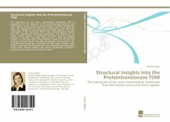 Structural Insights into the Proteintranslocase TOM - Mager, Frauke