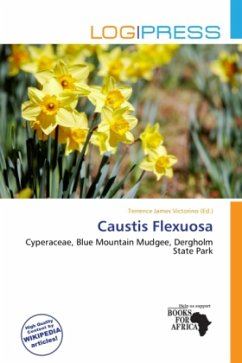 Cover Caustis Flexuosa