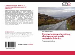Comportamiento térmico y electromagnético de material cerámico - Rodríguez Pinilla, Omar