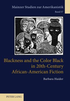 Blackness and the Color Black in 20th-Century African-American Fiction - Haider, Barbara