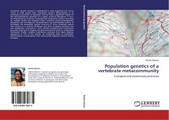 Population genetics of a vertebrate metacommunity