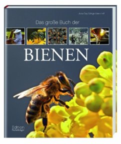 Das große Buch der Bienen - Gay, Jutta; Menkhoff, Inga