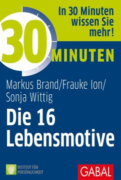 30 Minuten Die 16 Lebensmotive - Brand, Markus;Ion, Frauke K.;Wittig, Sonja