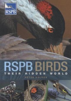 RSPB Birds: their Hidden World - Holden, Peter