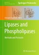 Lipases and Phospholipases - Bild 1