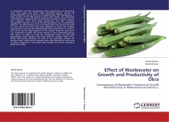 Effect of Wastewater on Growth and Productivity of Okra