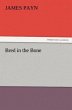 Bred in the Bone - Bild 1