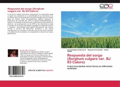 Respuesta del sorgo (Sorghum vulgare var. BJ 83 Caloro)