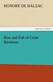 Rise and Fall of Cesar Birotteau